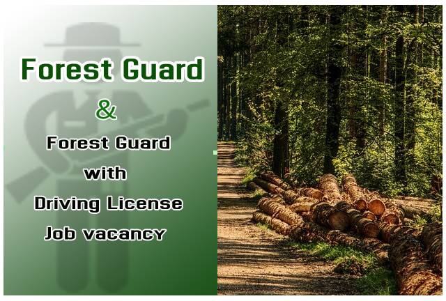 forest guard -jobitfreshers.com